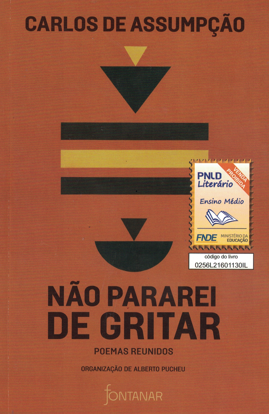 Capa de NÃO PARAREI DE GRITAR