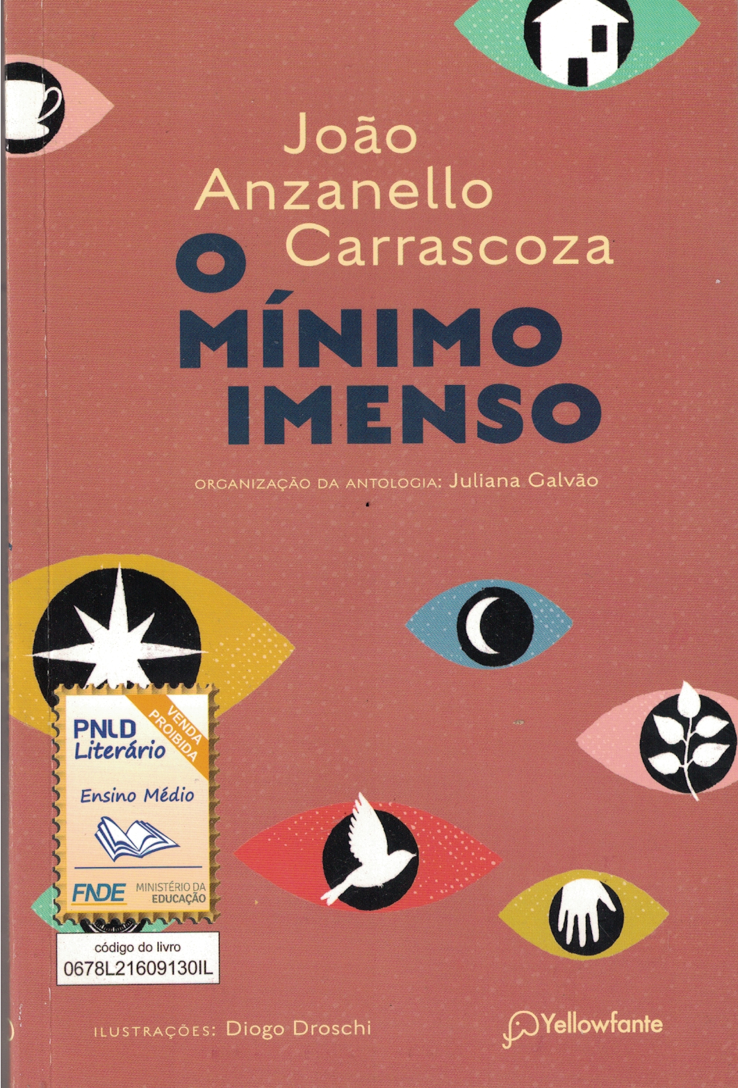 Capa de O MÍNIMO IMENSO