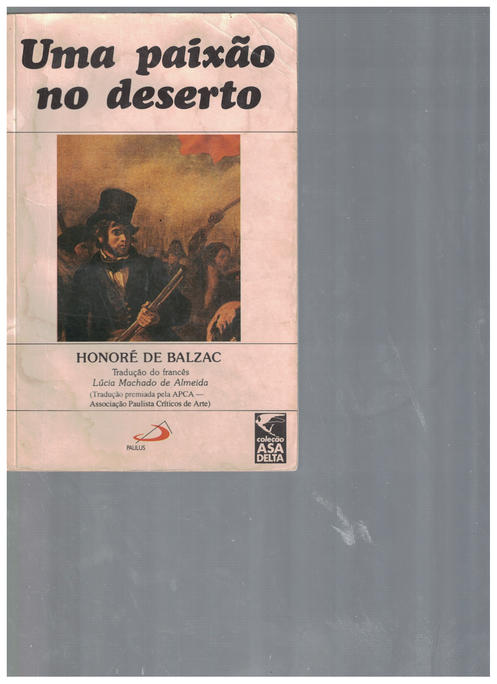 Capa de Uma paixão no deserto