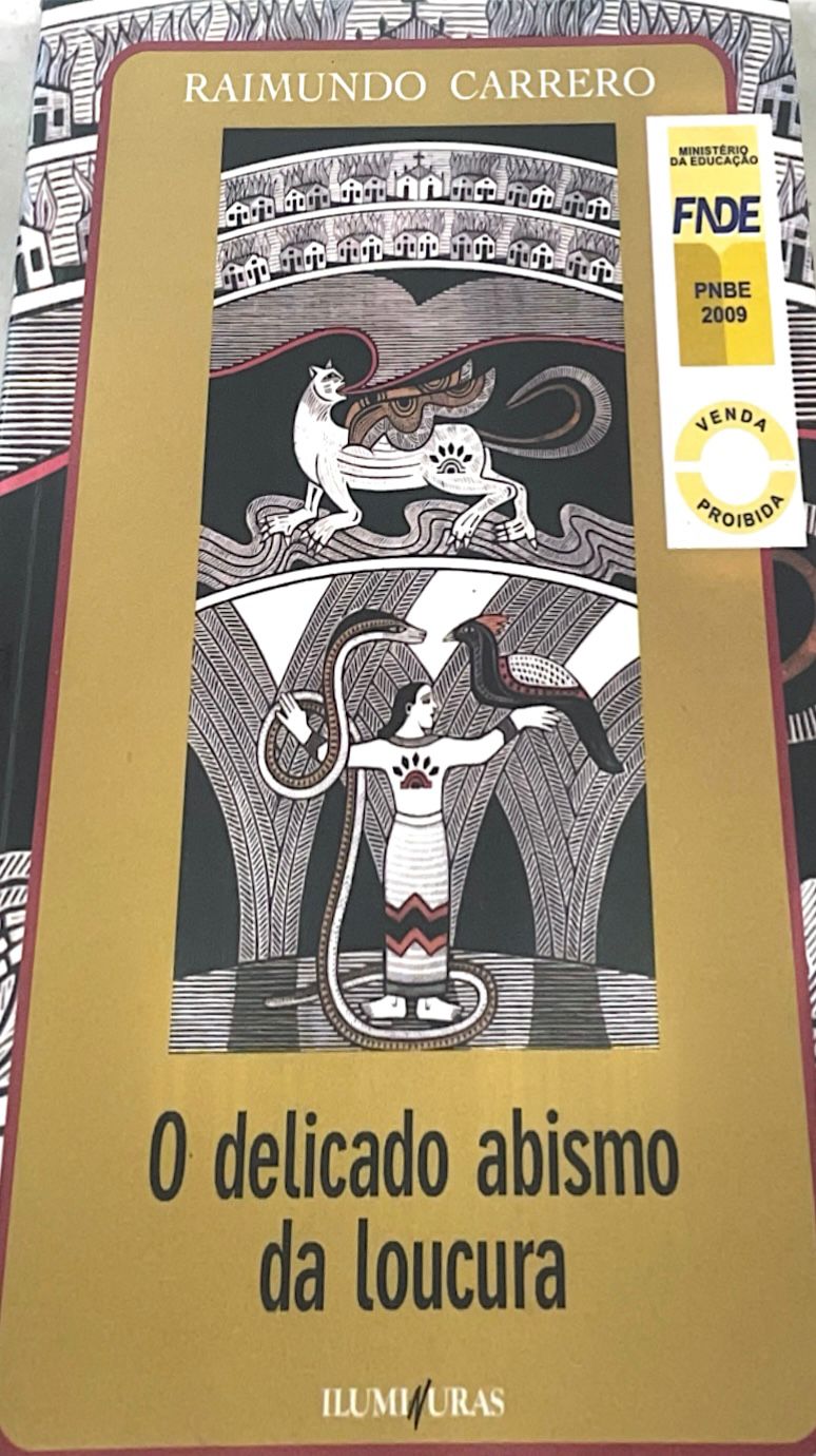 Capa de O delicado abismo da loucura