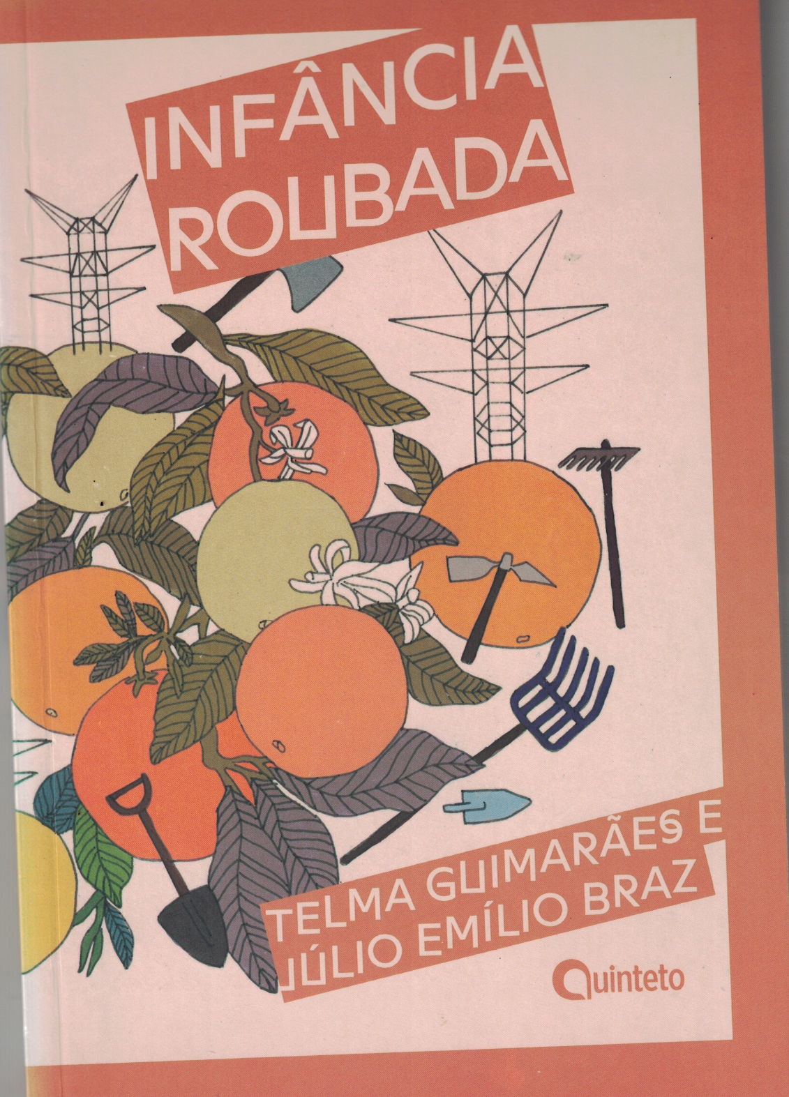 Capa de Infância Roubada