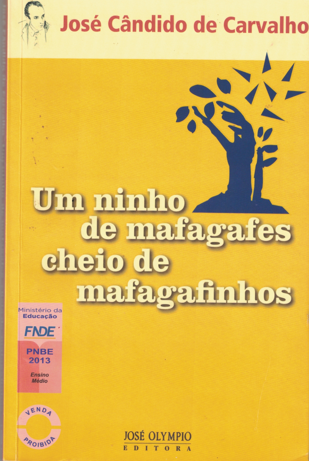 Capa de Um ninho de mafagarfes cheio de mafagafinhos