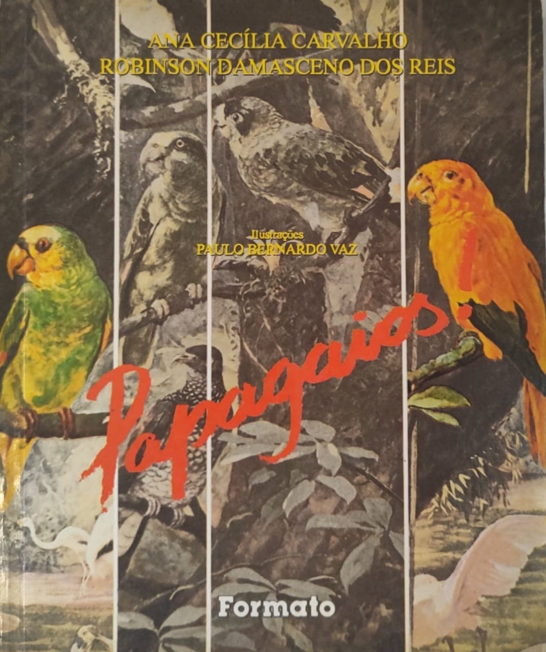 Capa de Papagaios!