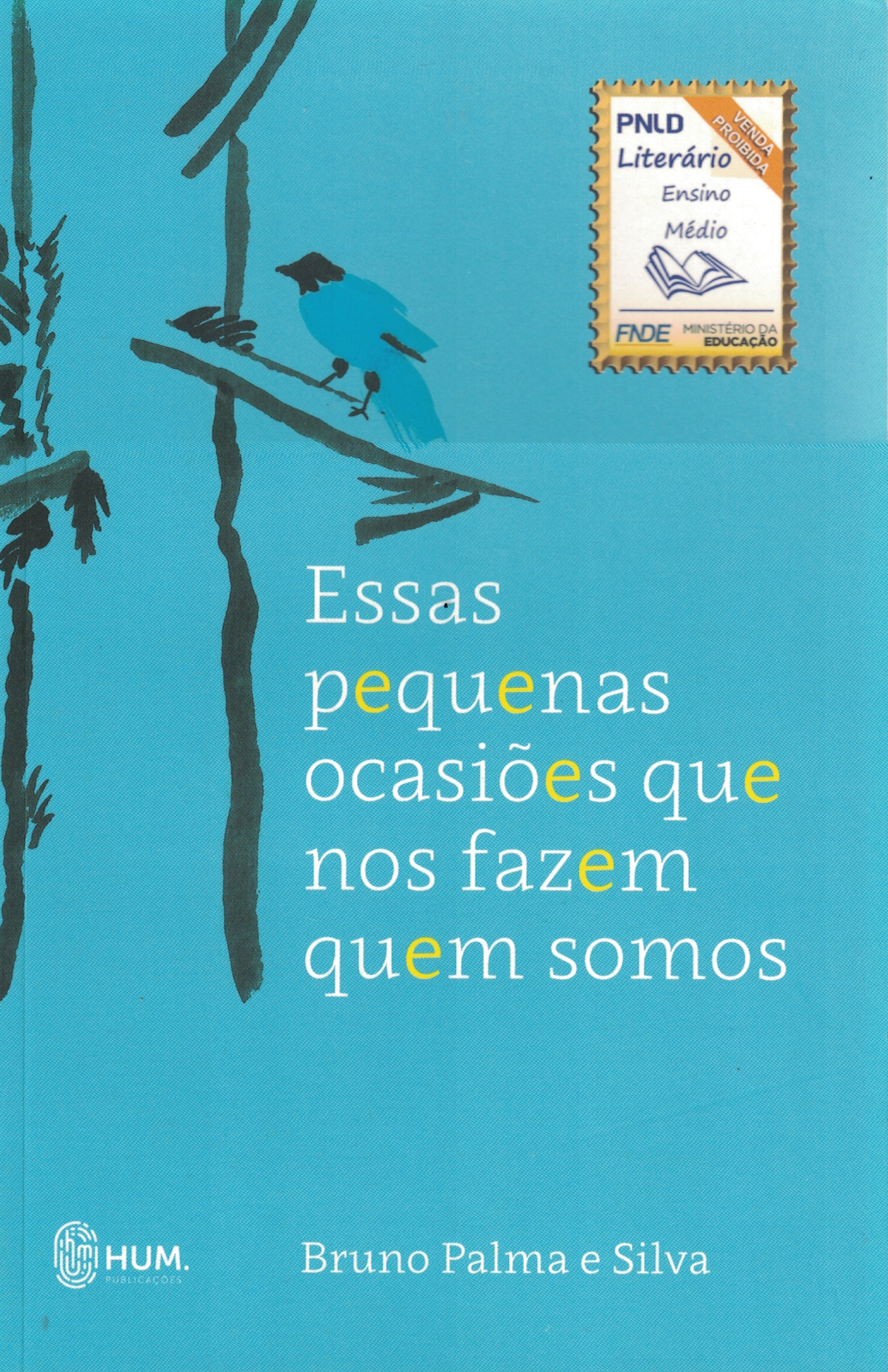 Capa de Essas pequenas ocasiões que nos fazem quem somos