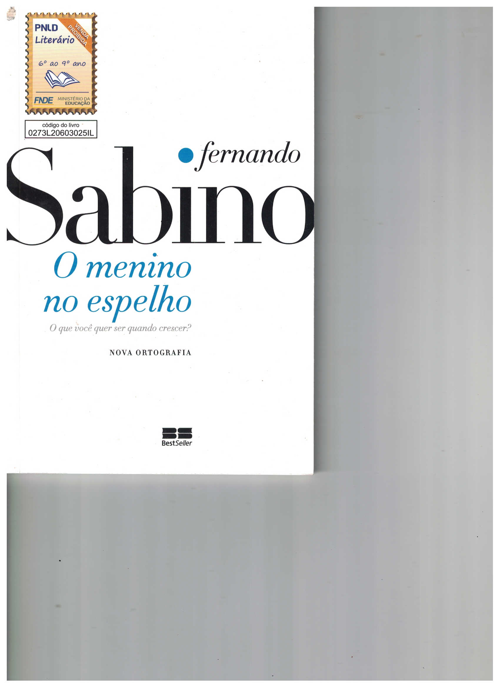 Capa de O manino no espelho