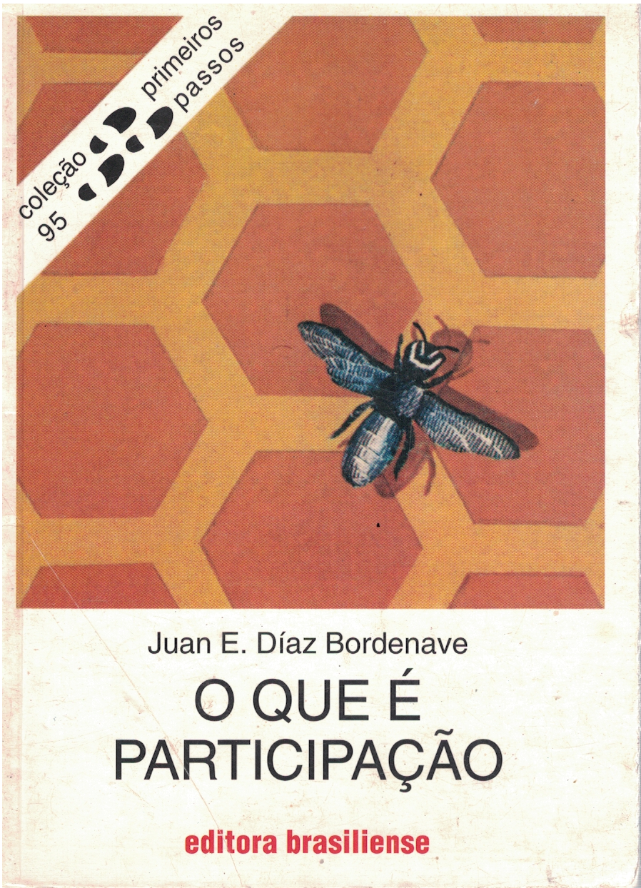 Capa de O que é participação