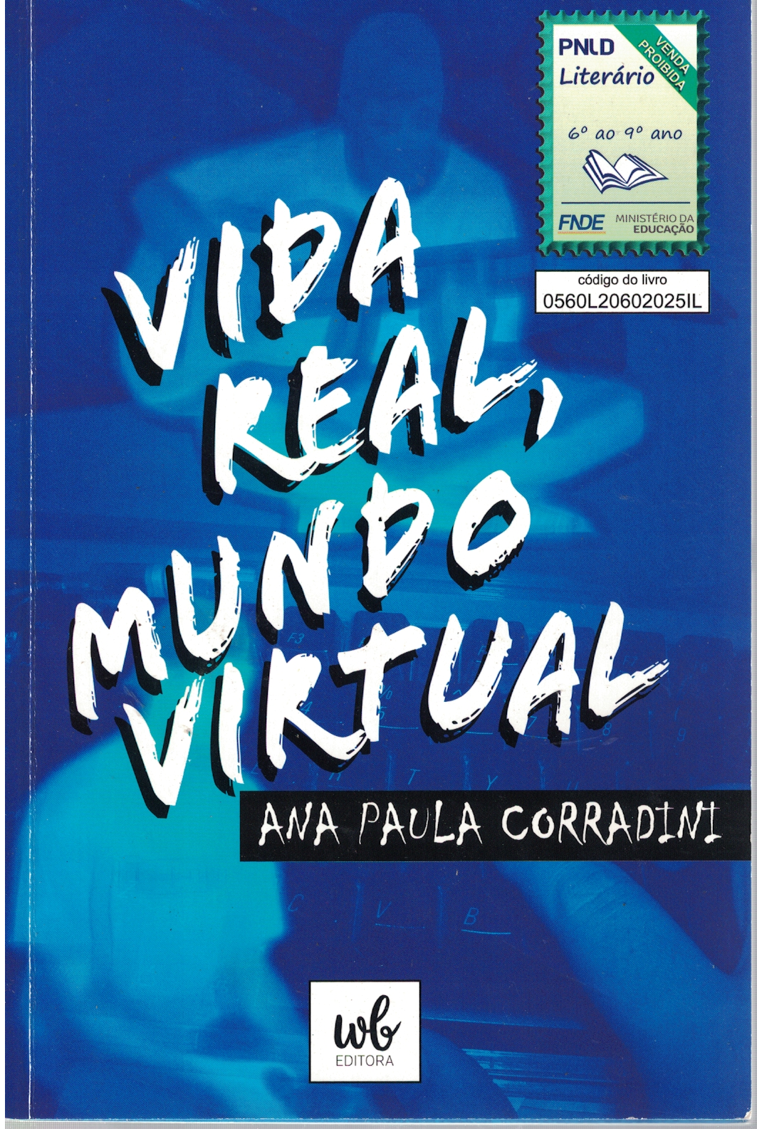 Capa de Vida real, mundo virtual