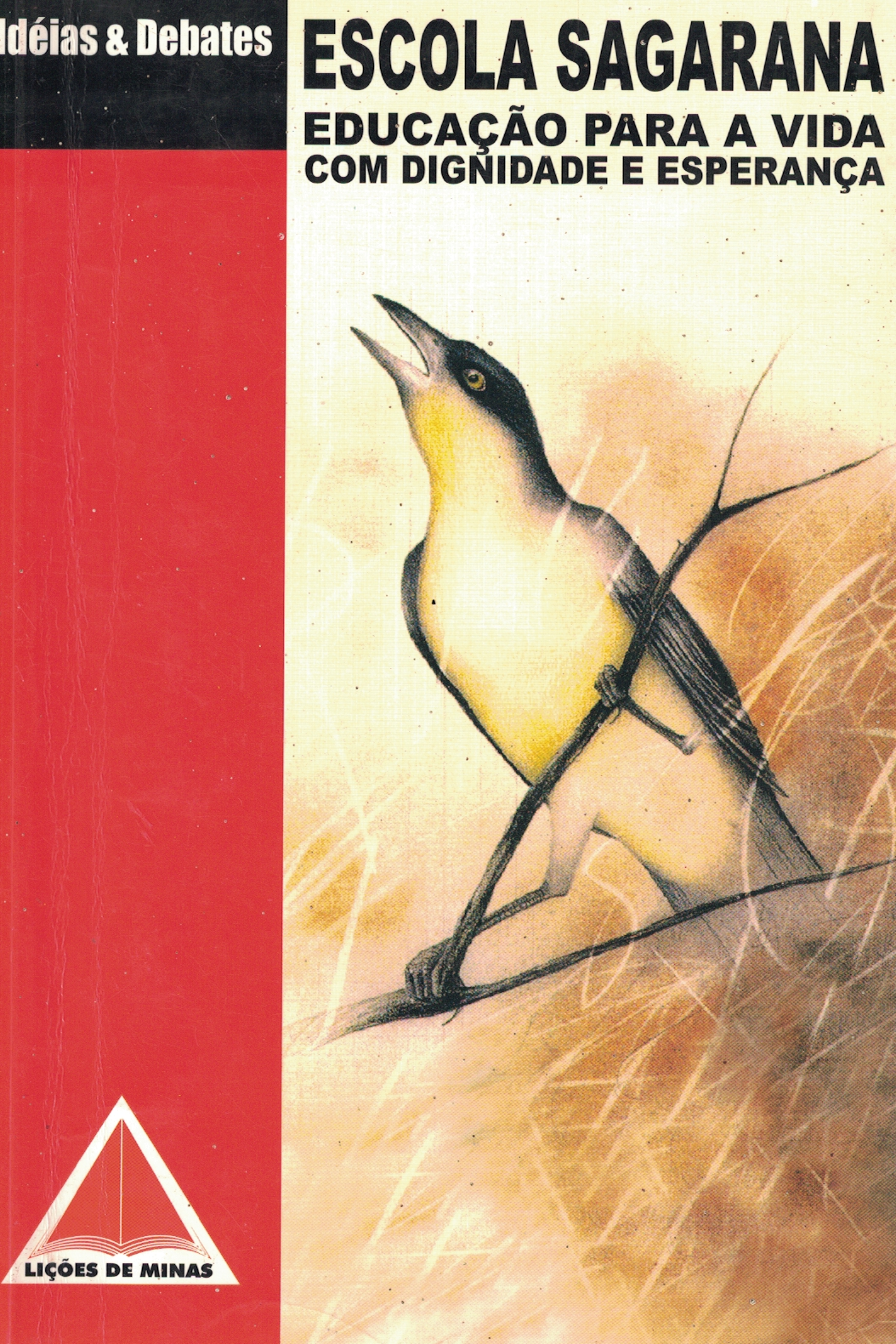 Capa de escola sagarana