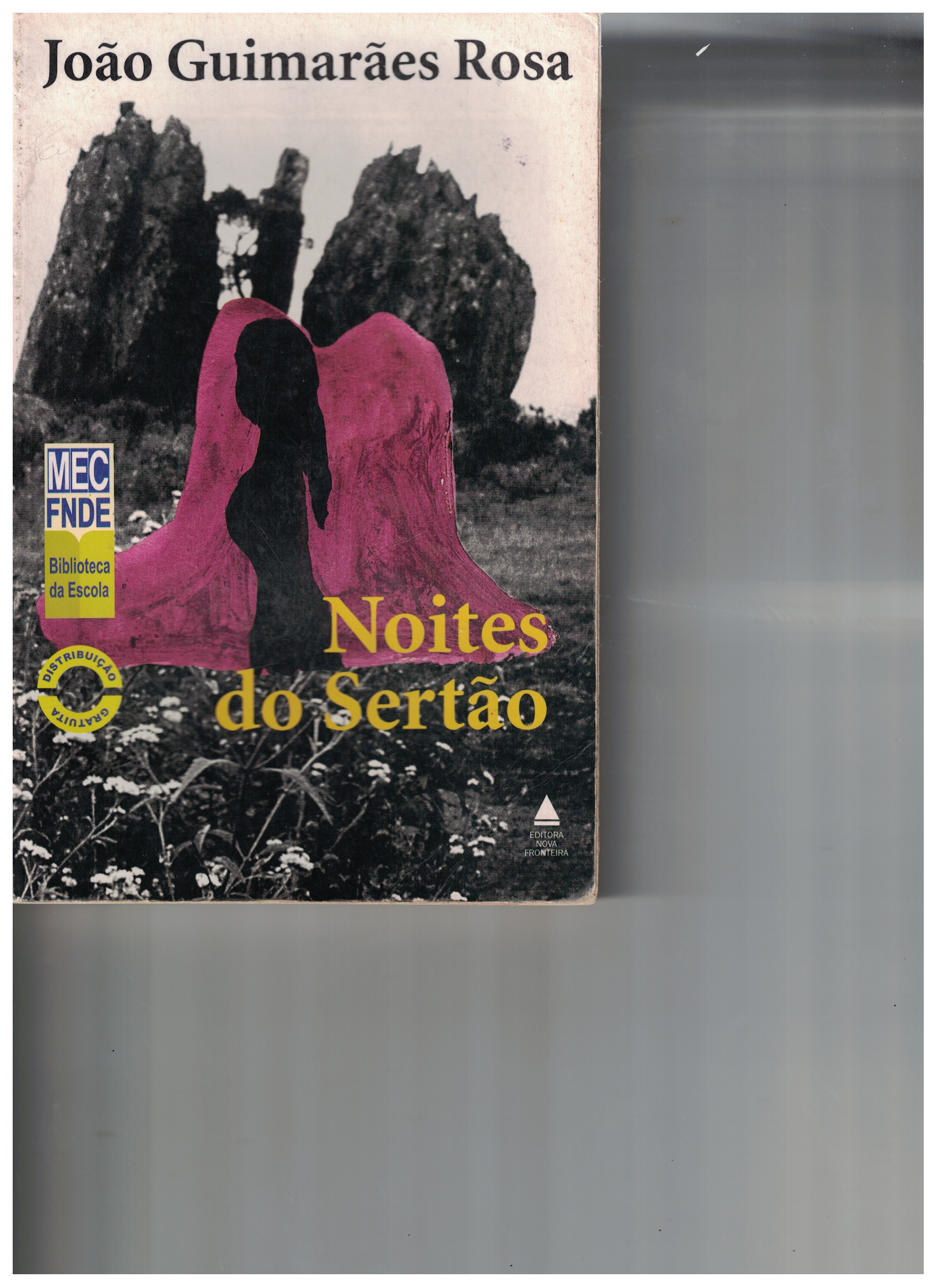 Capa de Notes do sertão