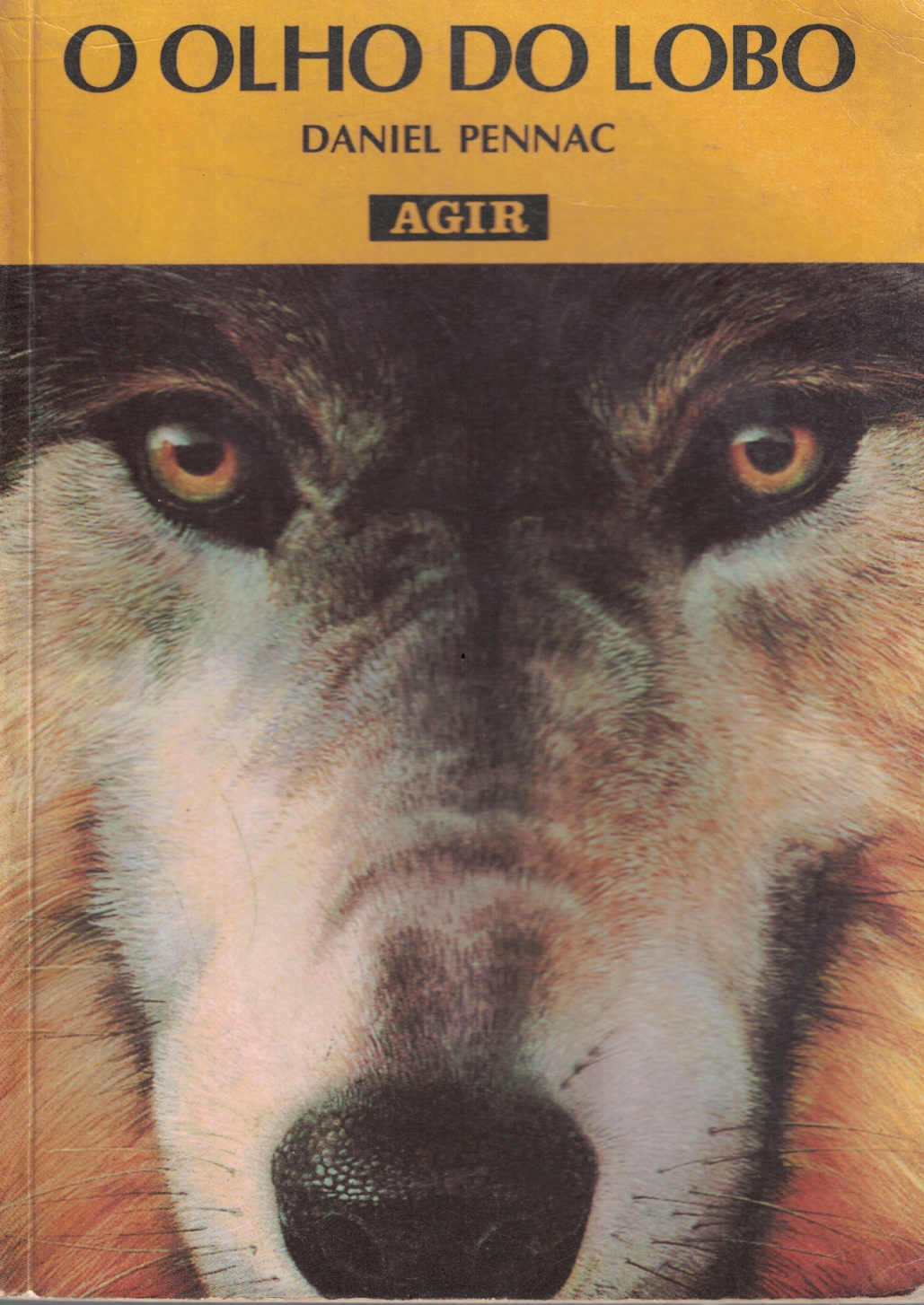 Capa de O olho do lobo