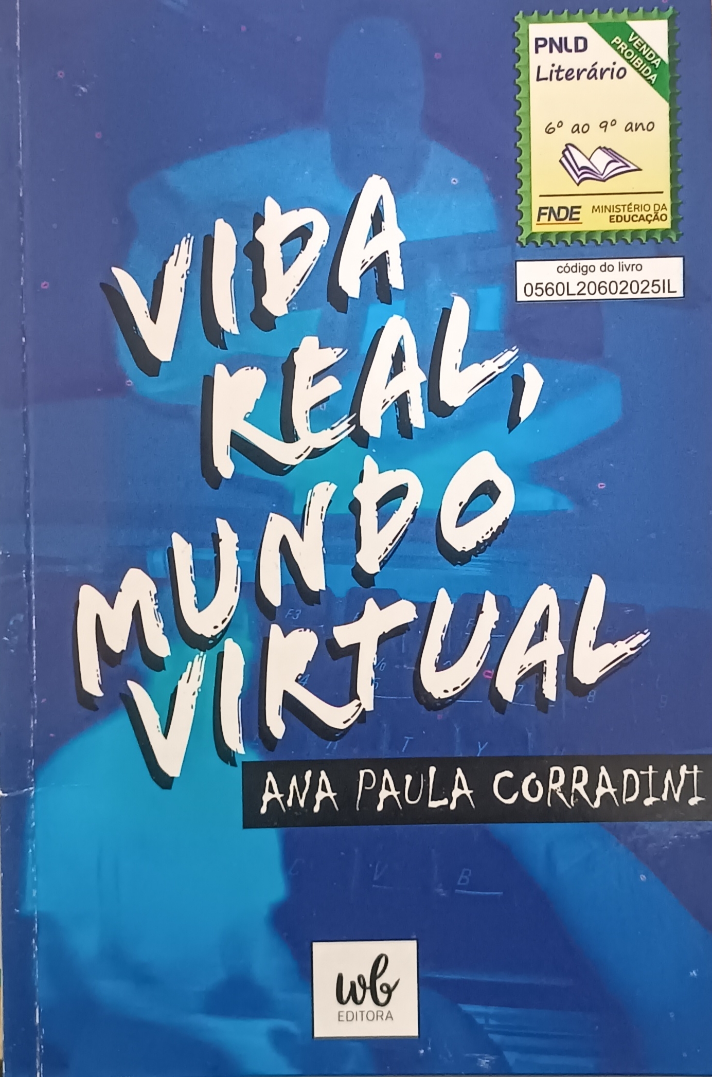 Capa de Vida Real, Mundo Virtual 