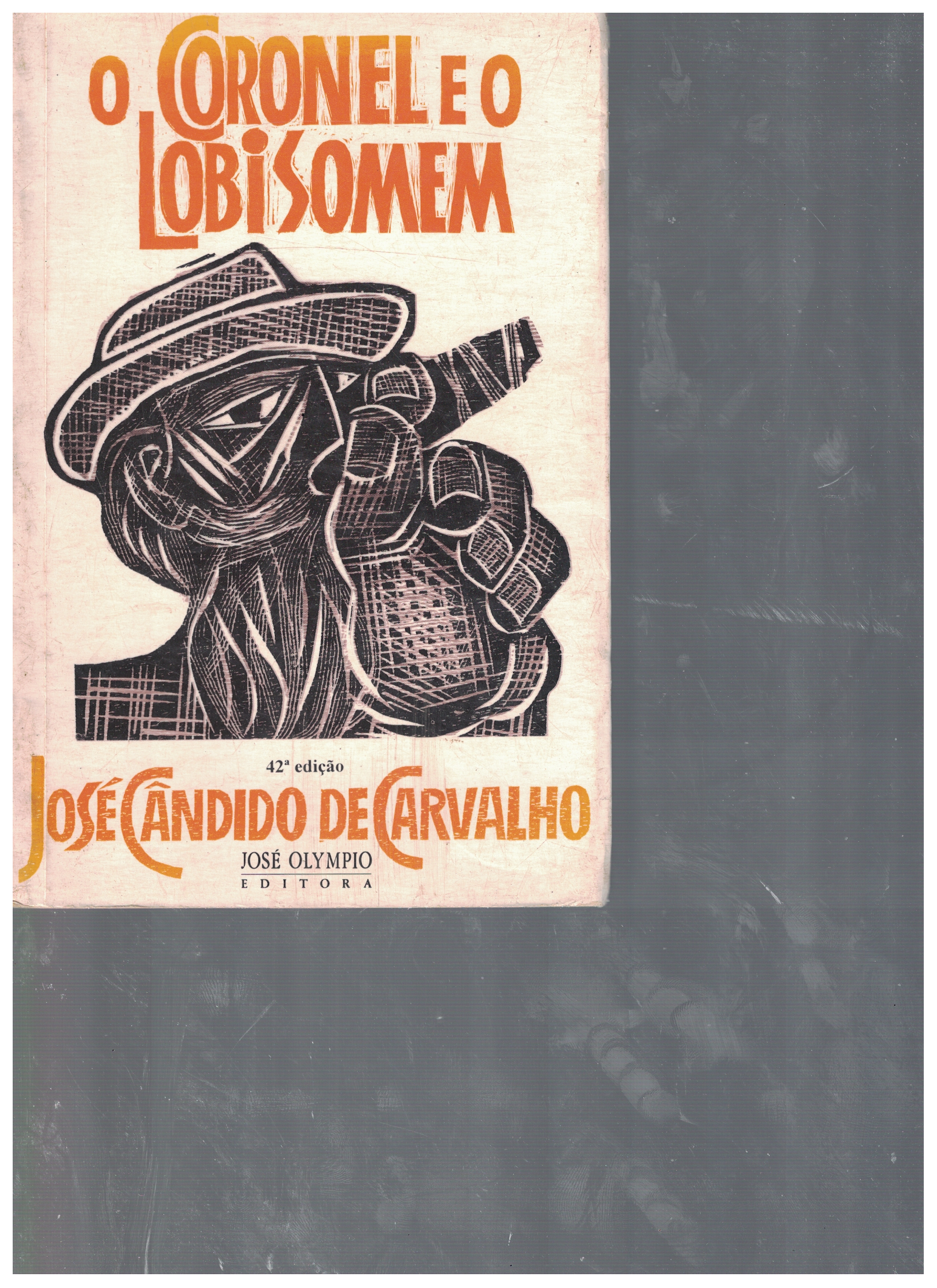 Capa de Joséabdido de arvalho