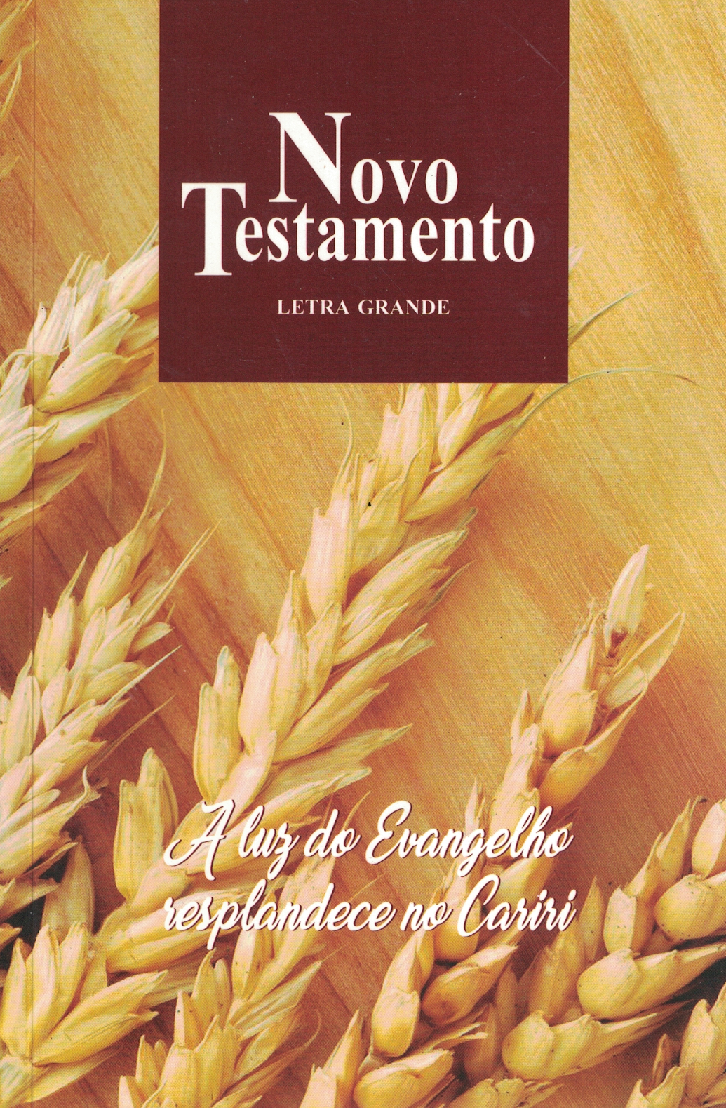 Capa de Novo Testamento