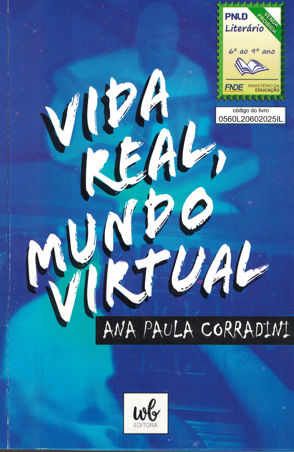 Capa de Vida real, mundo virtual