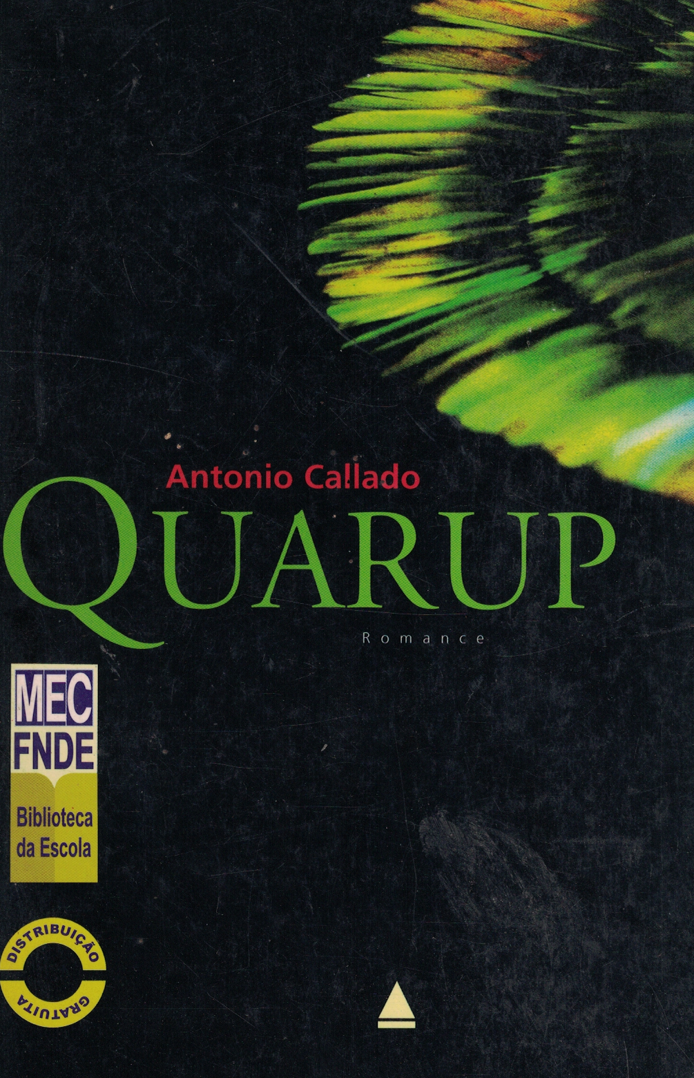 Capa de Quarup
