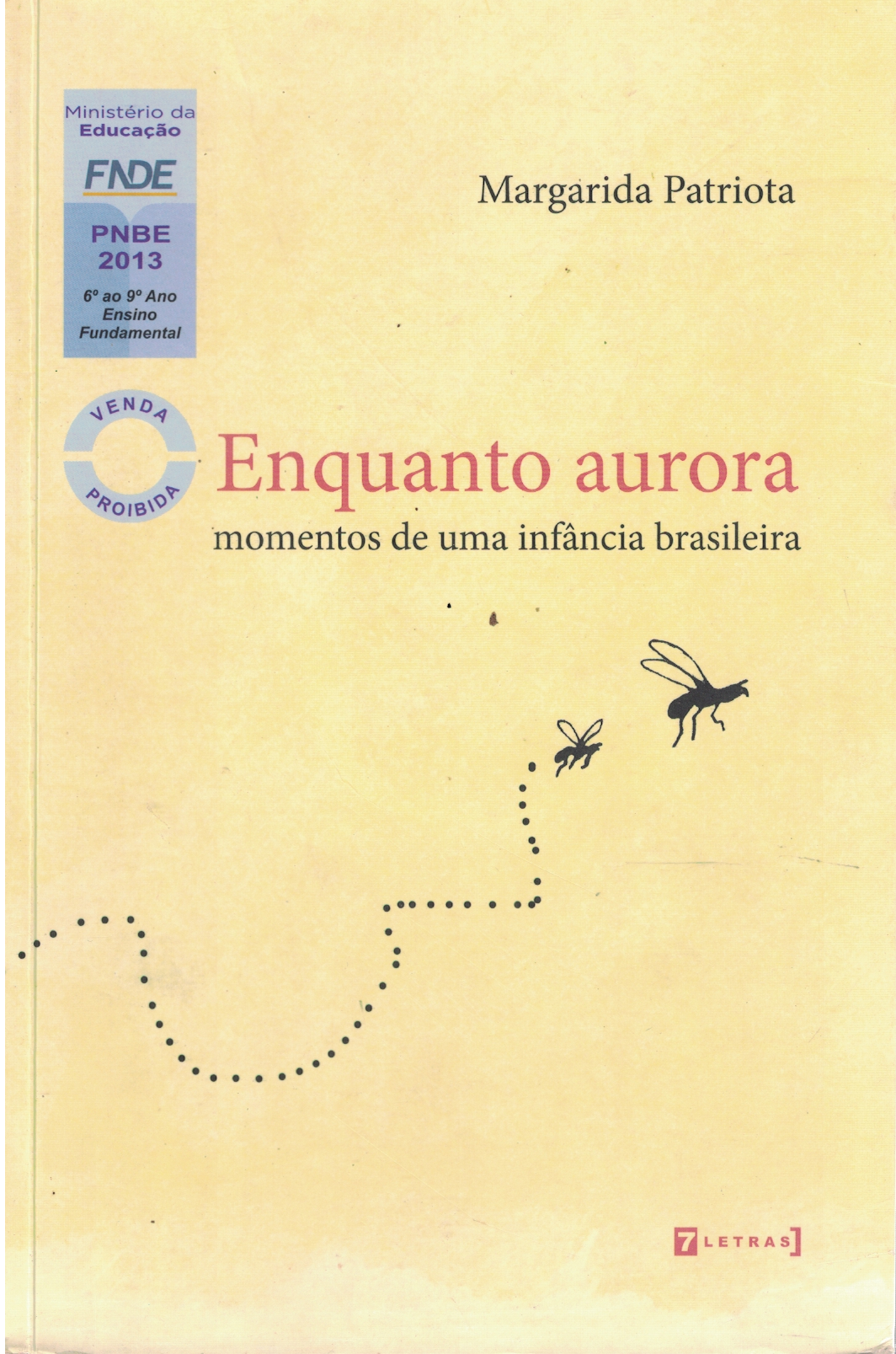 Capa de Enquanto aurora